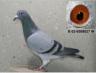 NL 99-1320027 W